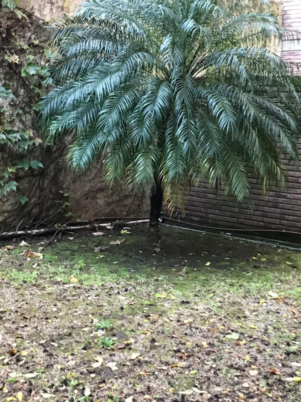 דירות רוסאריו Amplio Dpto Con Jardin En El Centro De La Ciudad מראה חיצוני תמונה